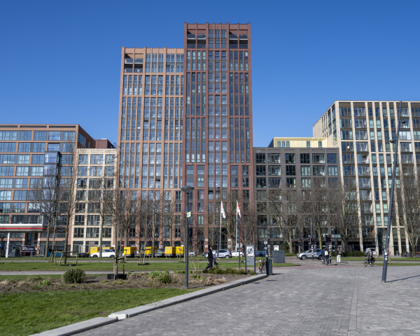 Buitenkant de Ananas Leiden