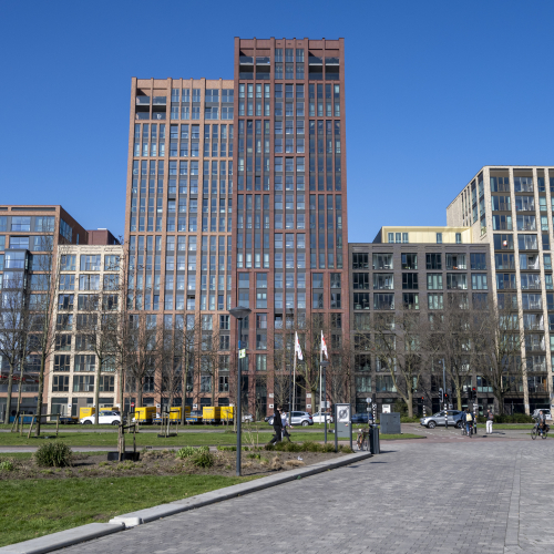 Buitenkant de Ananas Leiden