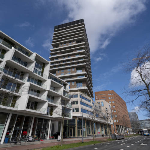 Amsterdam - Vertical 5032.jpg