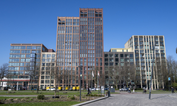 Buitenkant de Ananas Leiden